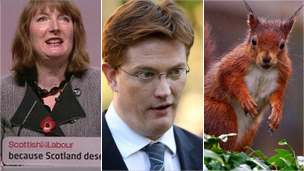 Harriet Harman, Danny Alexander and a red squirrel