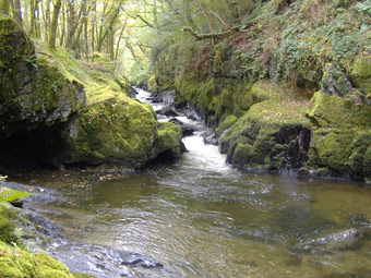 Afon Twymyn, Glantwymyn ger Machynlleth gan Meirion Jones o Lanbrynmair