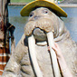 He is the Walrus - Marie and friend in Australia