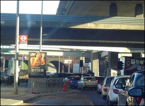 عکس از سيد ابراهيم جليلی