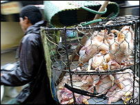 एक मुर्गी बेचने वाला