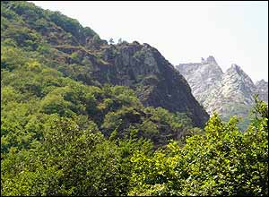 عکس از نيما تهرانی