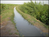 ڈاکوؤں کی زمین