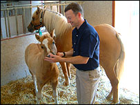 Prometea tem dez semanas, é dócil e adora aparecer