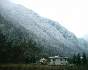 افشين آرتنگ