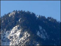 د ځنګلونو ساتنه