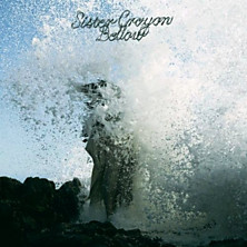 Review of Bellow Review of Bellow