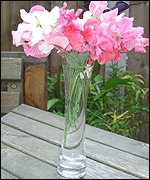 Sweet Peas in vase