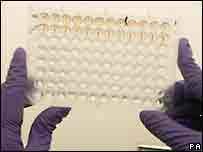 Kuş gribine yönelik test çalışmaları