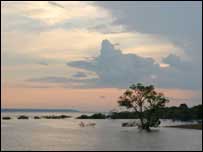 Amazônia ao anoitecer