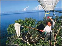 Balão de hélio sobrevoa copa de floresta