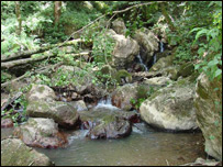 ناپاکې اوبه