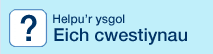 Eich cwestiynau