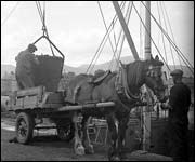 Unloading the puffer 'Celt' at Annalong, Northern Ireland. Photo courtesy of Calum Pearson