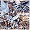Frost