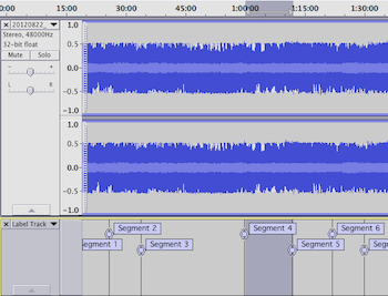 Audio waveform with segmentation labels below it