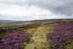 An English moorland