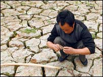 ماحولیاتی تبدیلی کا اثر