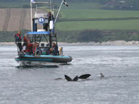 Photos by Lynn & Jeremy Stonehouse & Matt McLeod