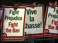 برطانوی لومڑیاں 