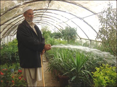 آبپاشی گلها