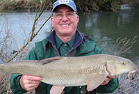 Pysgotwr yn dal pysgodyn