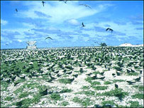 Trường Sa, ảnh Yoichi Mogi