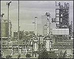 Wilton works