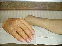 उंगलियाँ