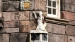 Detail from John Knox House
