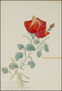 Quadro pintado por Marilyn Monroe