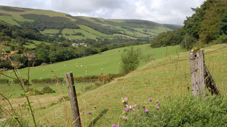 Generic image of a valley