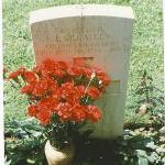 Return To Minturno 60 years on. Return To Minturno 60 years on.