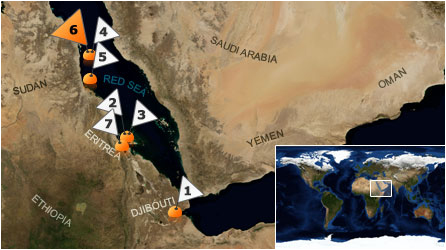 Dive map - Red Sea - Site 6