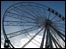 Nottingham Eye