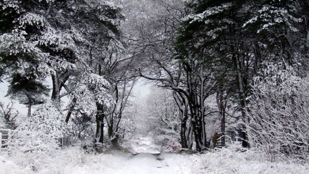 Heavy snow