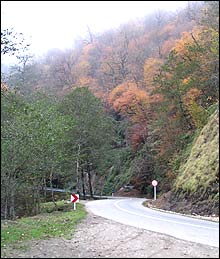 عليرضا اسکندرزاده