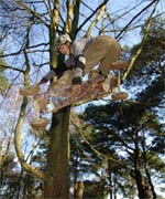 mountainboarding © Paul Taylor/ATBmag