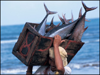 ماہی گیر(فائل فوٹو)