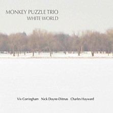 Review of White World Review of White World