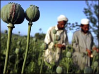 دکوکنارو کر