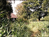 Woodwalton Fen