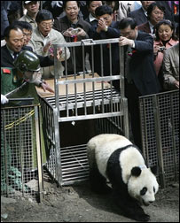 ज़ियांग-ज़ियांग