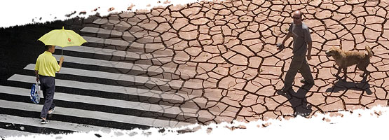 Composite image: a man with an umbrella crossing the street and another man and a dog over overdry soil