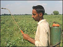 कीटनाशक छिड़कता किसान