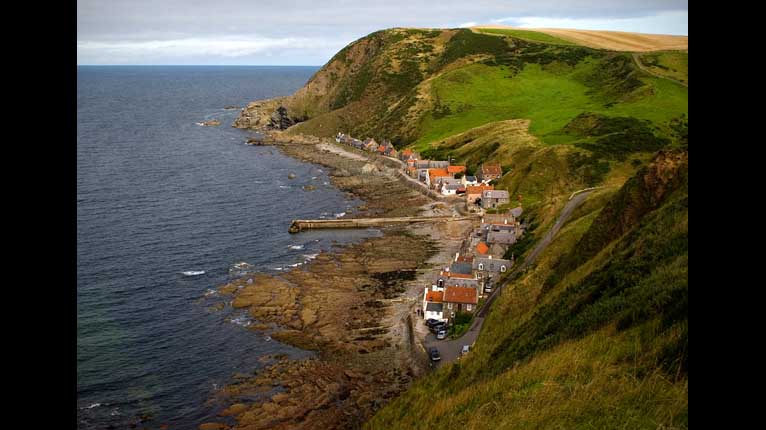 Crovie
