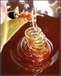  قصه های زندگی