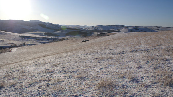 Hard frozen grassland with backdrop of hills