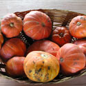 Pumpkins, autumn produce, in a basket