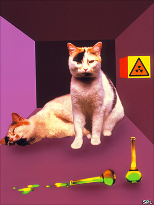 Artist's representation of Schrodinger's cat experiment